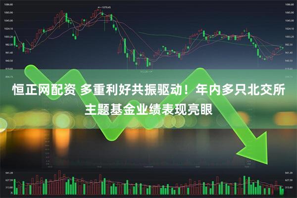 恒正网配资 多重利好共振驱动！年内多只北交所主题基金业绩表现亮眼