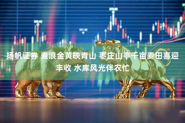 扬帆证券 麦浪金黄映青山 枣庄山亭千亩麦田喜迎丰收 水库风光伴农忙