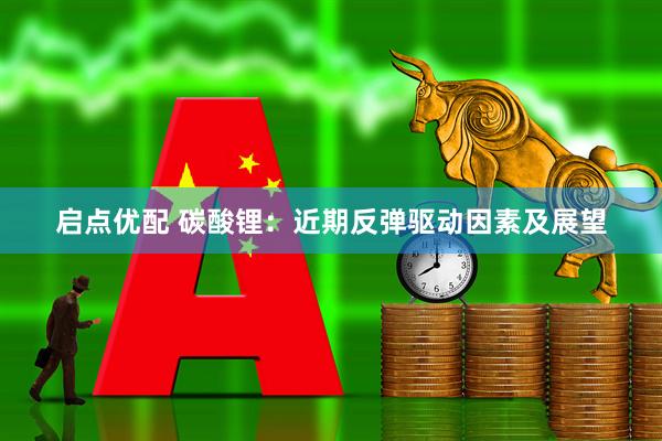 启点优配 碳酸锂：近期反弹驱动因素及展望