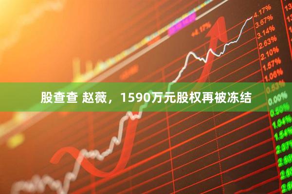 股查查 赵薇，1590万元股权再被冻结
