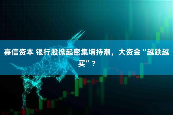 嘉信资本 银行股掀起密集增持潮，大资金“越跌越买”？