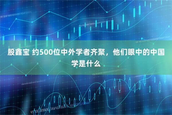 股鑫宝 约500位中外学者齐聚，他们眼中的中国学是什么