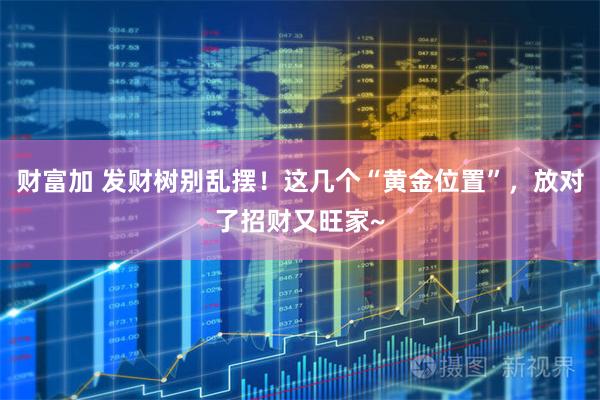 财富加 发财树别乱摆！这几个“黄金位置”，放对了招财又旺家~